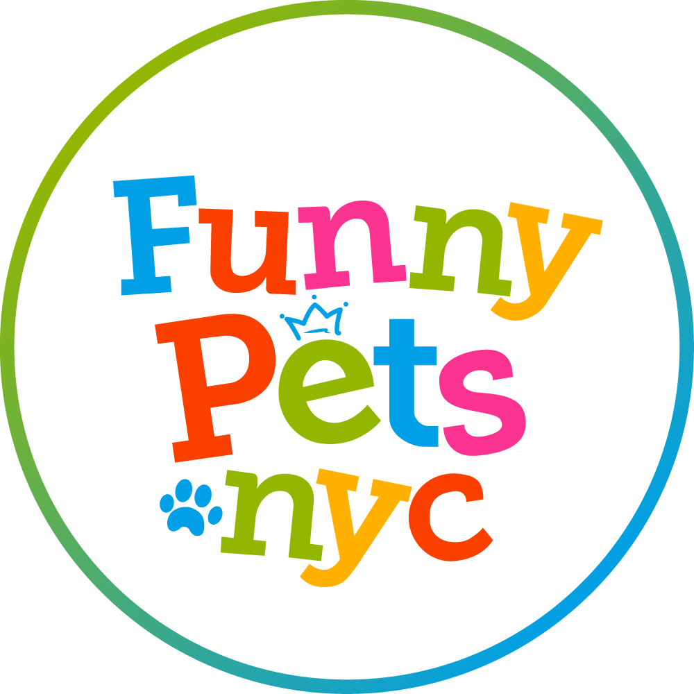 Funny Pets NYC